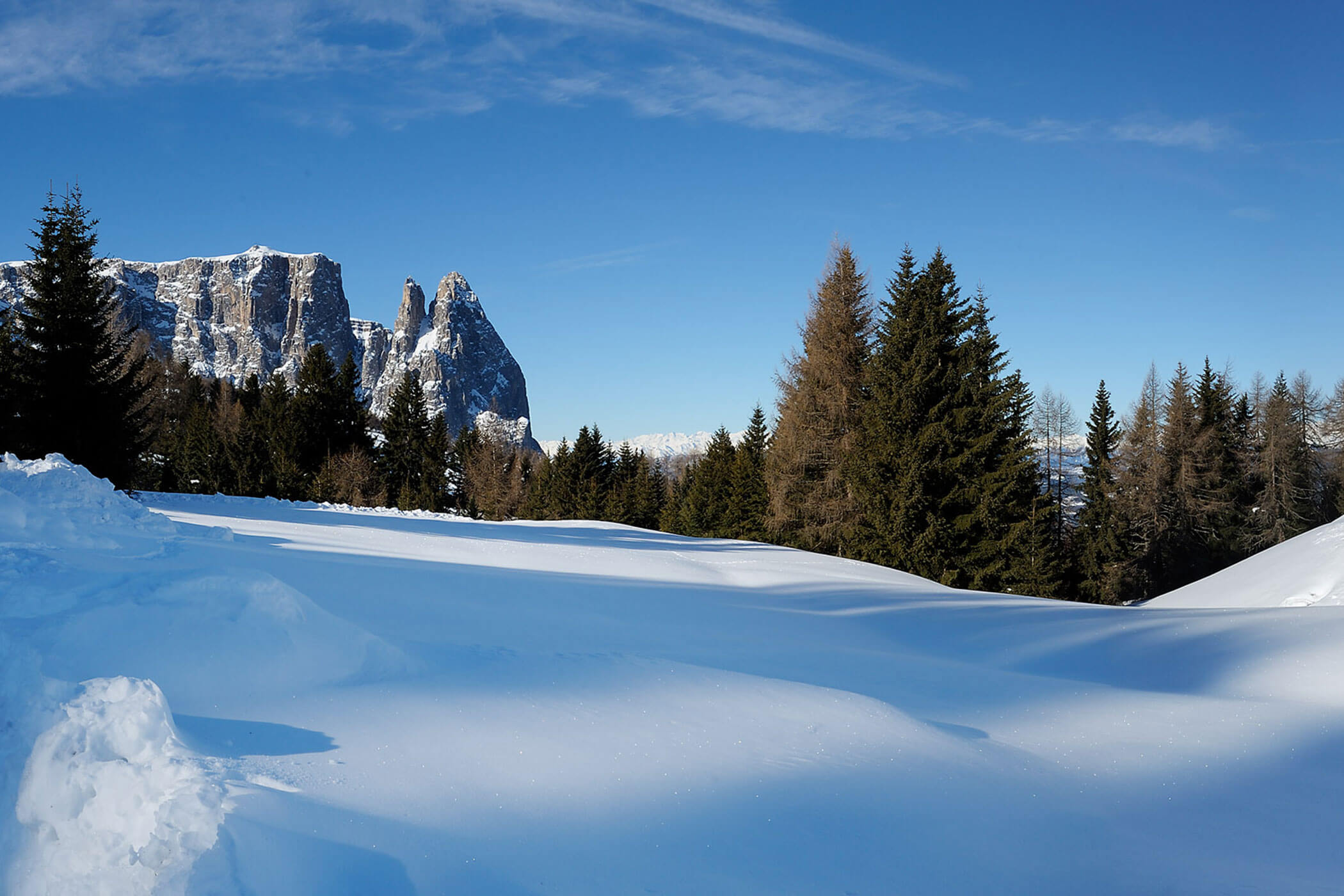 Verschneite Winterwiese mit Blick auf das verschneite Schlerngebiet - Apartments Sabina